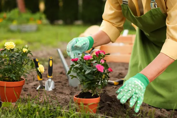 15 tuintips voor de maand juni