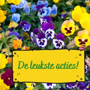 Aanbiedingen