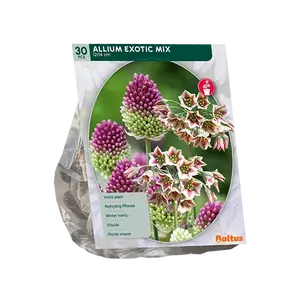 Allium Exotic Mix per 30