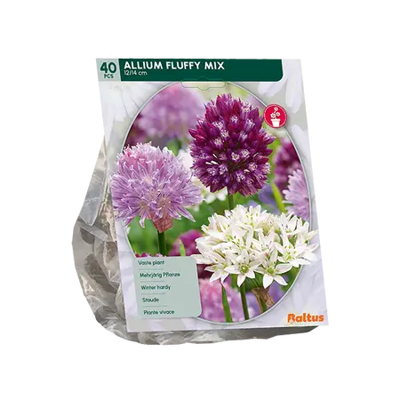 Allium Fluffy Mix per 40