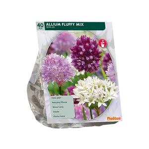 Allium Fluffy Mix per 40