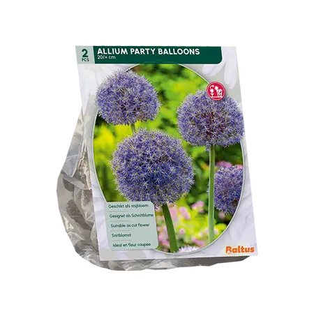 Allium Party Balloon per 2