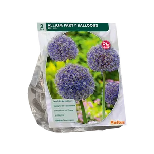 Allium Party Balloon per 2