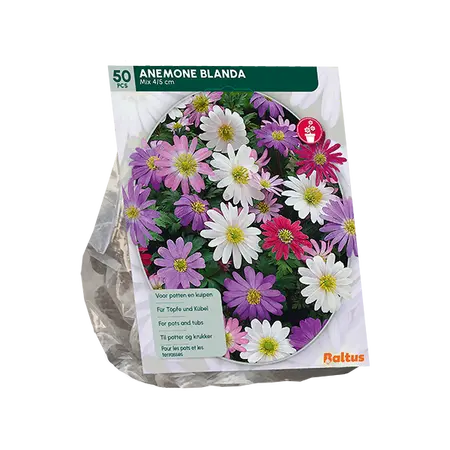 Anemone Blanda, Mix per 50