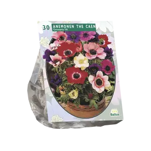 Anemone de Caen, Mix