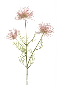Anemone seed spray x3 pink  65cm
