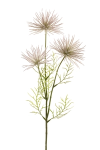 Anemone seed spray x3 purple  65cm