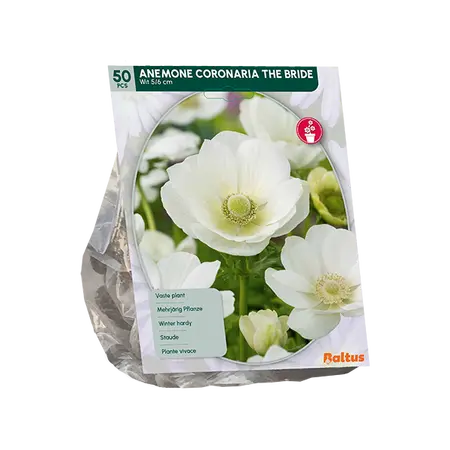 Anemone The Bride per 50