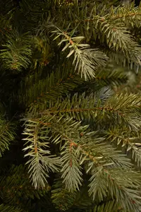 Ardley kerstboom slim - afbeelding 2