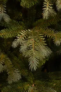 Ardley kerstboom slim - afbeelding 3