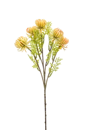 Artichoke spray yellow 47cm