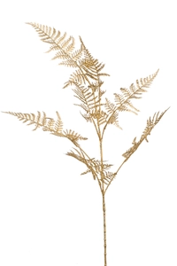 Asparagus spray gold 85cm