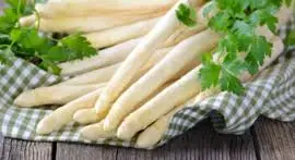 Asperge plant - bundel van 5 - afbeelding 5