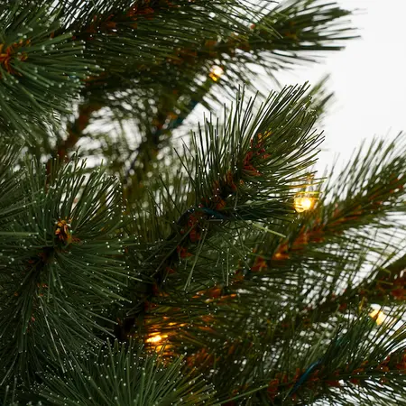 Bristlecone kerstboom Led - afbeelding 3