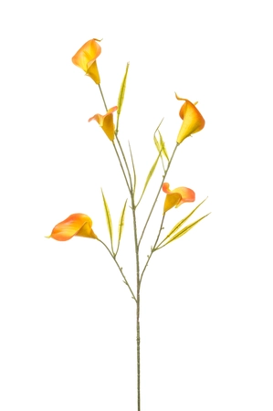 Calla spray x5 yellow/orange 85cm