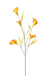 Calla spray x5 yellow/orange 85cm