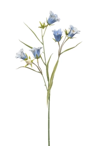 Campanula spray 65cm