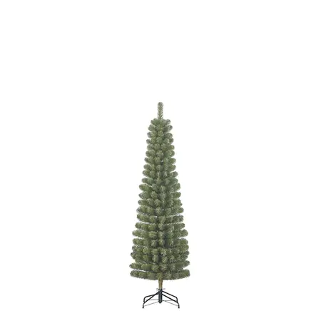 Charlton Pilar kerstboom
