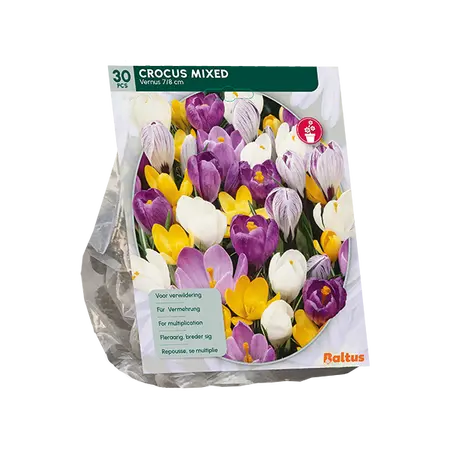 Crocus Grootbloemig, Mix per 30