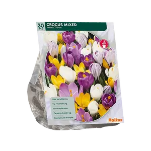 Crocus Grootbloemig, Mix per 30