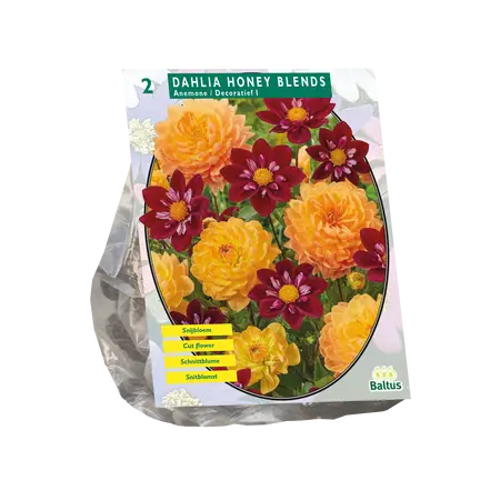 Dahlia Honey Blends