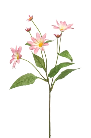 Daisy spray pink 58cm