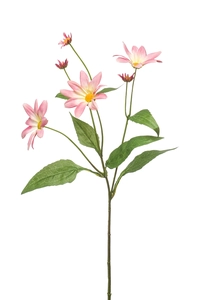 Daisy spray pink 58cm