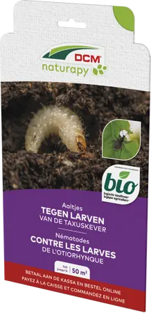 DCM Aaltjes tegen larven van de taxuskever (Kraussi-Guard®) - Bestelcode - 50 m² (25 mio. aaltjes)