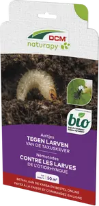 DCM Aaltjes tegen larven van de taxuskever (Kraussi-Guard®) - Bestelcode - 50 m² (25 mio. aaltjes)
