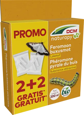 DCM Feromoon/Lokstof Buxusmot (Cydalima-Pheromone®) PROMO-pack 2 capsules + 2 gratis