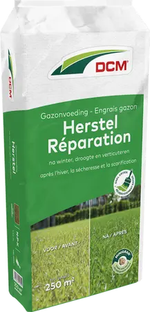 DCM Gazonvoeding Herstel 250 m² (10 kg)