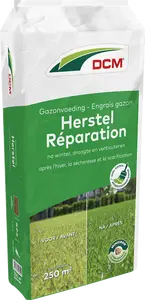 DCM Gazonvoeding Herstel 250 m² (10 kg)