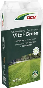DCM Gazonvoeding Vital-Green 250 m² (10 kg)