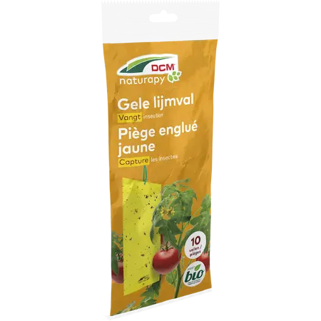 DCM Gele Lijmval Yellow-Trap 10 st