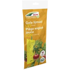 DCM Gele Lijmval Yellow-Trap 10 st