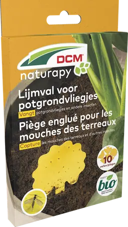 DCM Lijmval voor DCM potgrondvliegjes 10 st