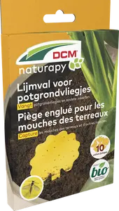 DCM Lijmval voor DCM potgrondvliegjes 10 st