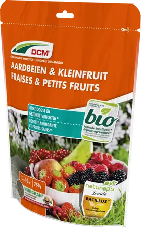 DCM Meststof Aardbeien & Kleinfruit 0,75 kg