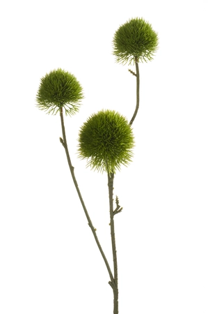 Dianthus spray 58cm