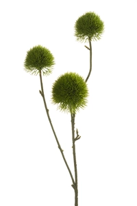 Dianthus spray 58cm