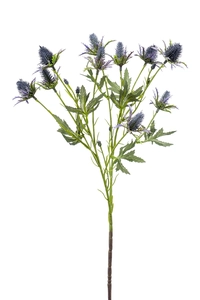 Eryngium spray x2 blue 68cm