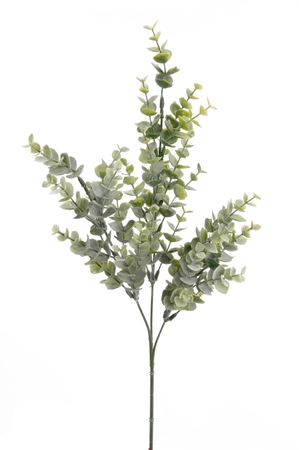 Eucalyptus Bridge Spray 68cm