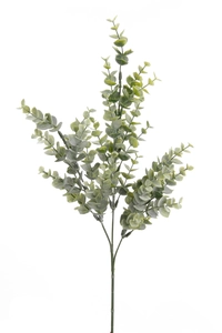 Eucalyptus Bridge Spray 68cm