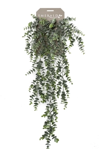 Eucalyptus hanging bush 75cm