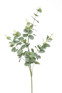 Eucalyptus spray 75cm