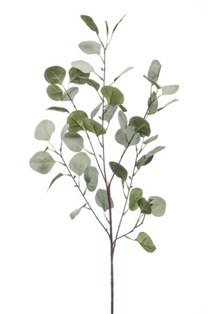 Eucalyptus spray 87cm