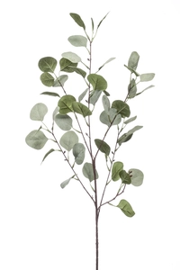 Eucalyptus spray 87cm