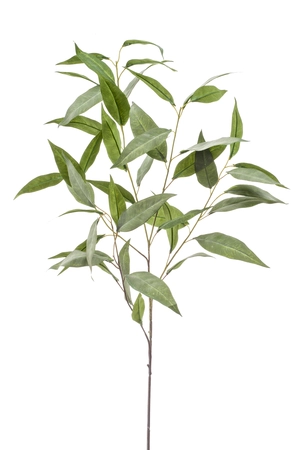 Eucalyptus spray 93cm