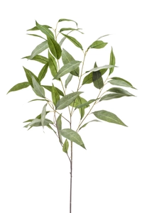 Eucalyptus spray 93cm