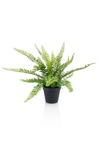 Fern bush 35cm in black plastic